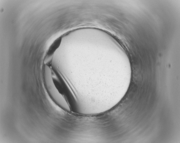 X0000088611519200706221418