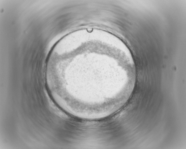 X0000088611522200706221418