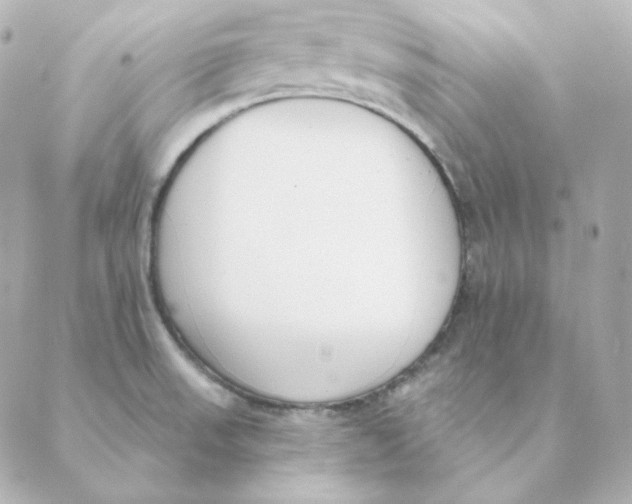 X0000088611523200706221418