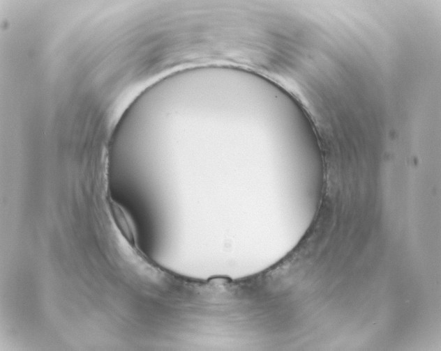 X0000088611524200706221418