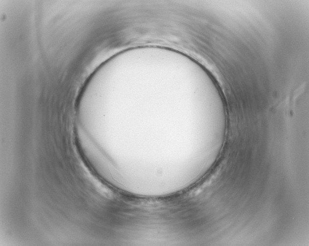 X0000088611525200706221418