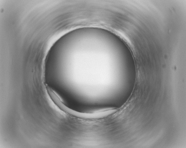 X0000088611528200706221418