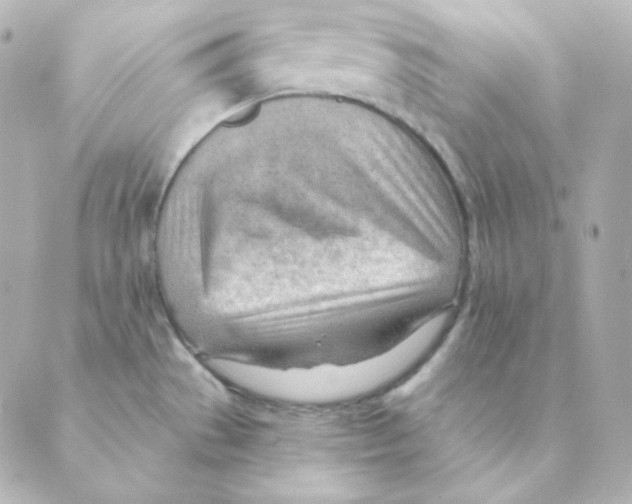 X0000088611529200706221418