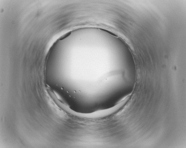 X0000088611530200706221418