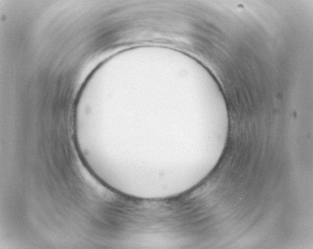 X0000088611531200706221418