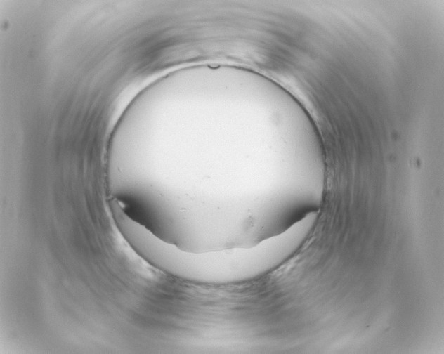 X0000088611532200706221418