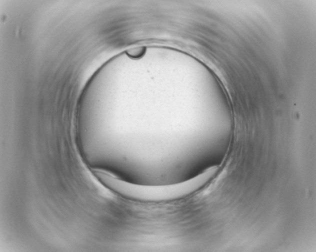 X0000088611533200706221418