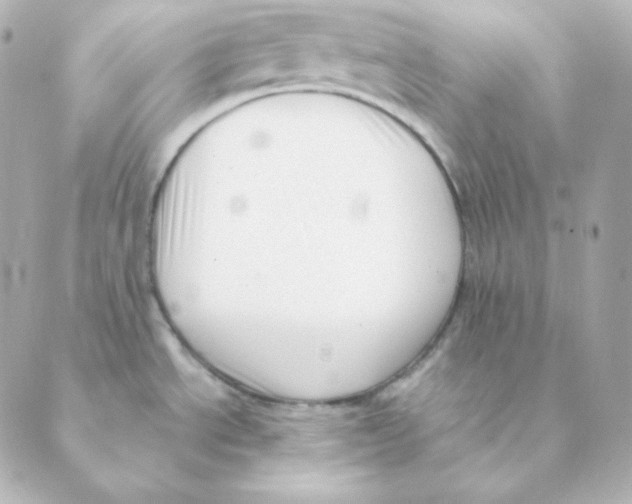 X0000088611534200706221418