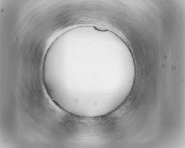 X0000088611536200706221418