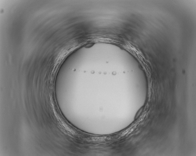 X0000088620049200705250932