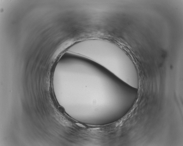 X0000088620054200705250932