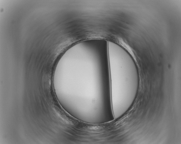 X0000088620059200705250932