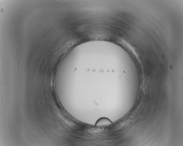 X0000088620065200705250933