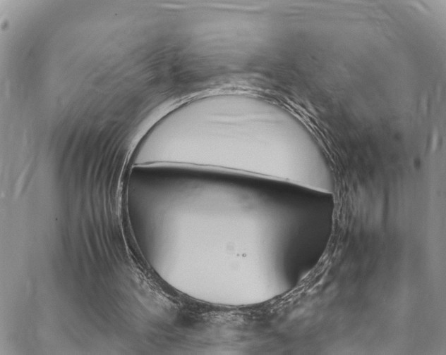 X0000088620100200705250932