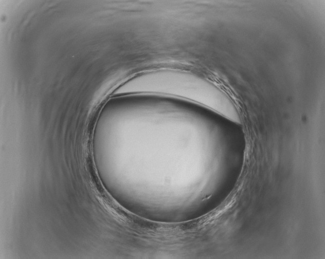 X0000088620101200705250932