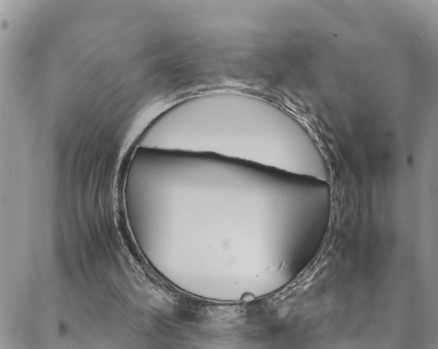 X0000088620102200705250932