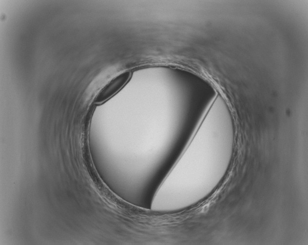 X0000088620103200705250932