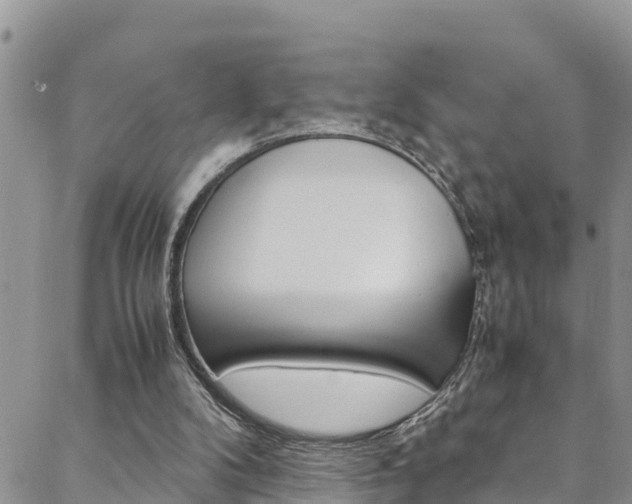 X0000088620104200705250932