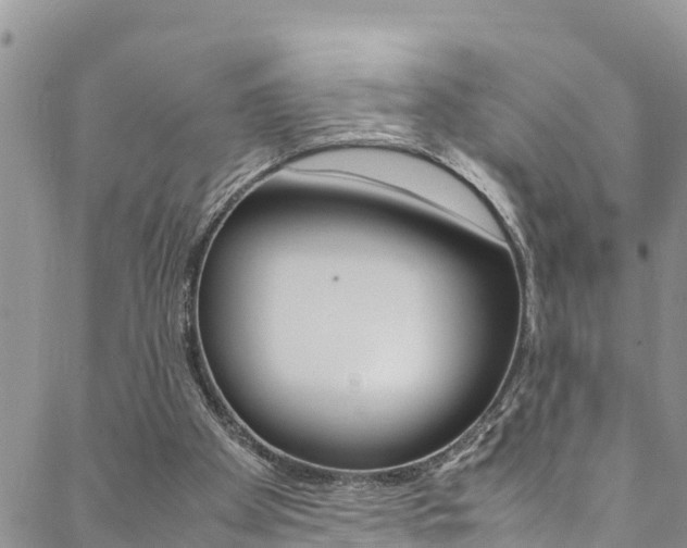 X0000088620105200705250932