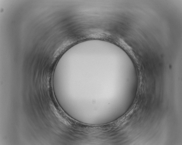 X0000088620106200705250932
