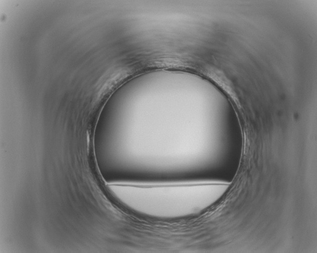 X0000088620109200705250932