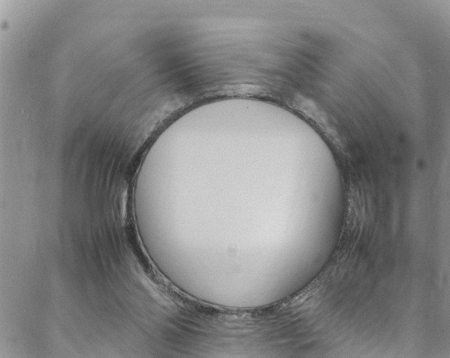 X0000088620110200705250932