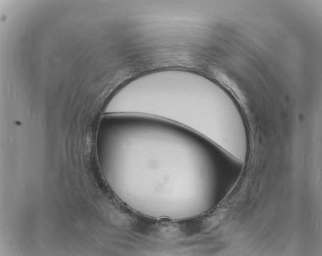 X0000088620113200705250932