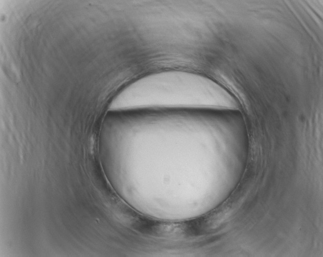 X0000088620117200705250932