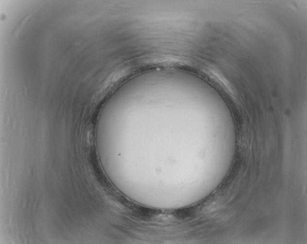 X0000088620119200705250932