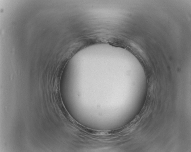 X0000088620121200705250932