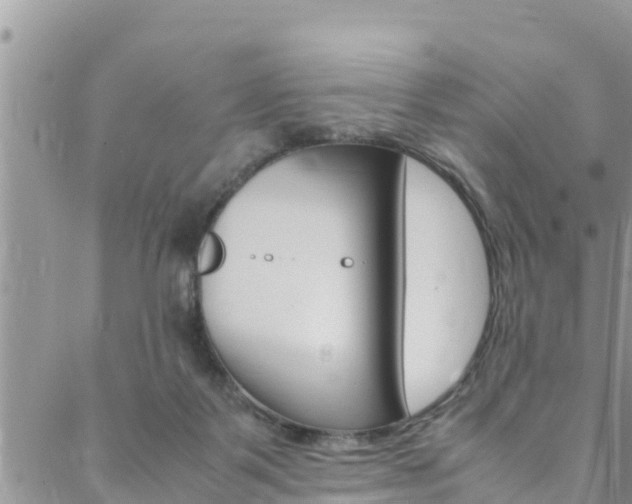 X0000088620123200705250932