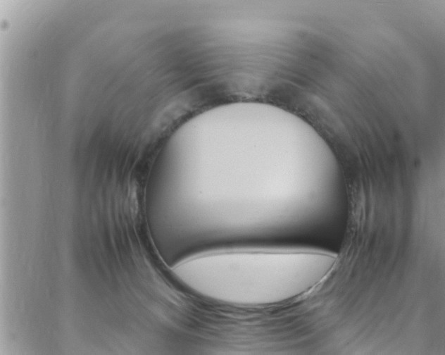 X0000088620128200705250932