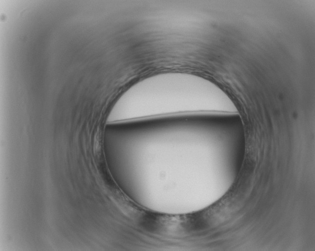 X0000088620131200705250932