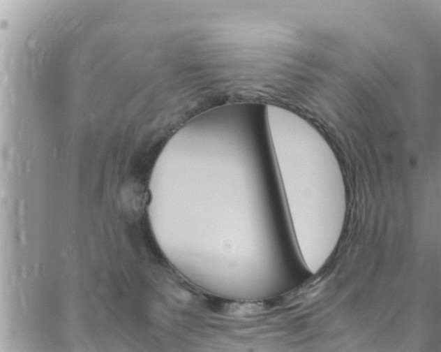 X0000088620135200705250932