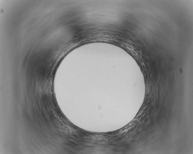 X0000088620146200705250931