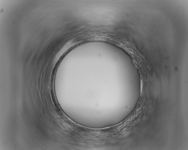 X0000088620195200705250931
