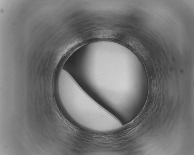 X0000088620727200705250922
