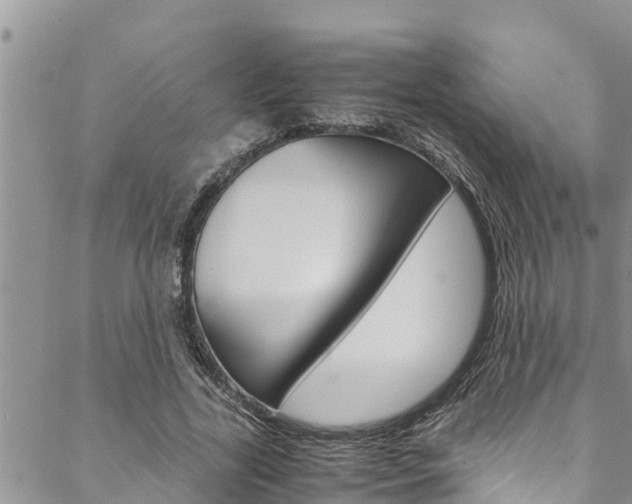 X0000088620731200705250922