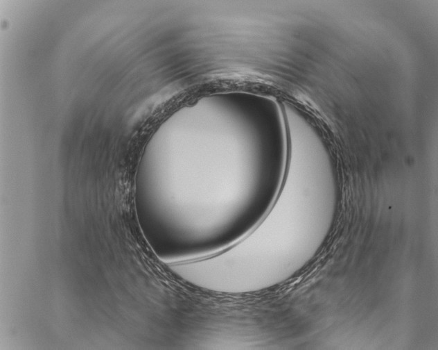 X0000088620822200705250920