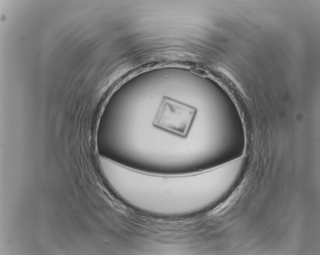 X0000088621065200705250917