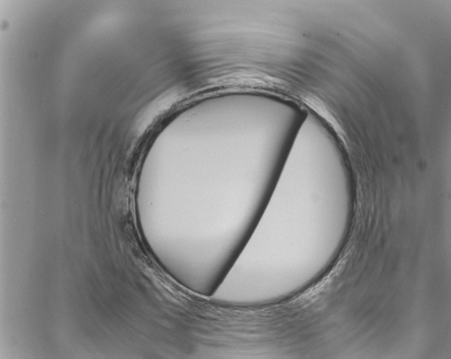 X0000088621067200705250917