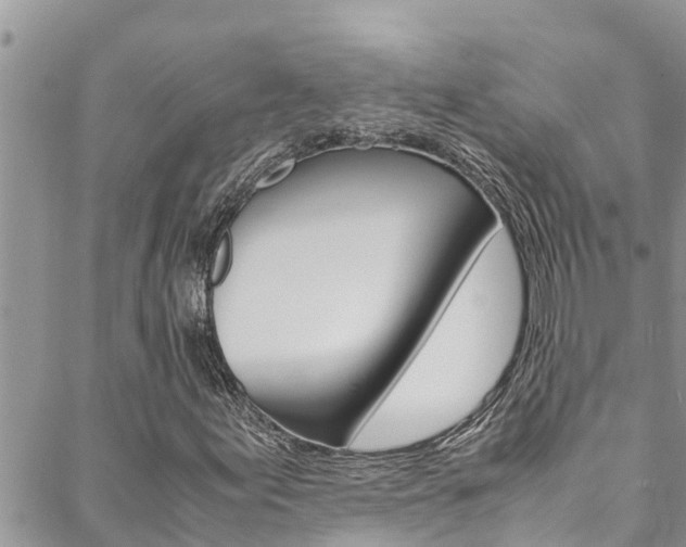 X0000088621155200705250915