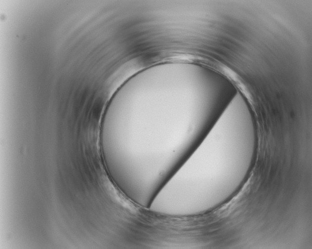 X0000088621194200705250915