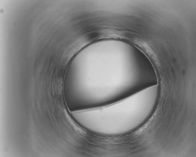 X0000088621233200705250914