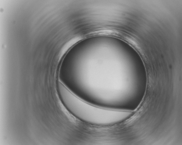 X0000088621426200705250911