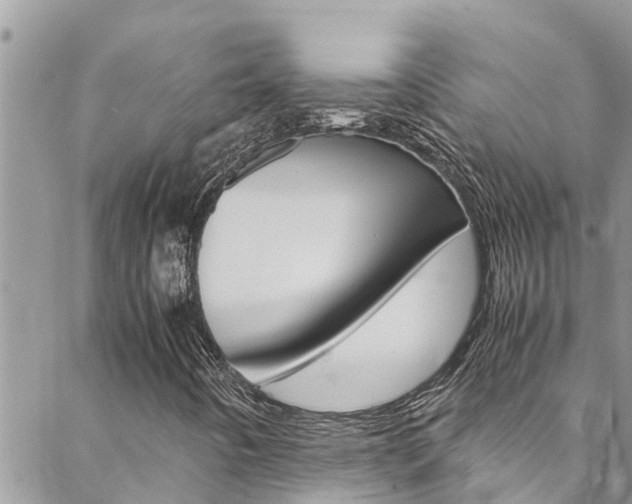 X0000088621442200705250910