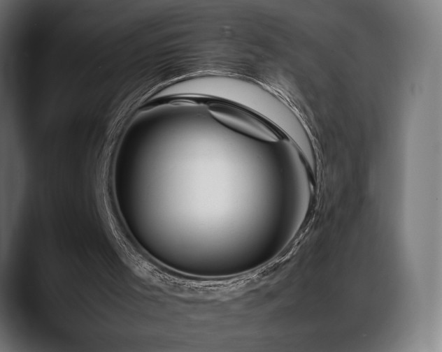 X0000088620001200705251251