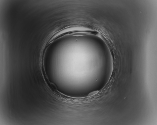 X0000088620003200705251251