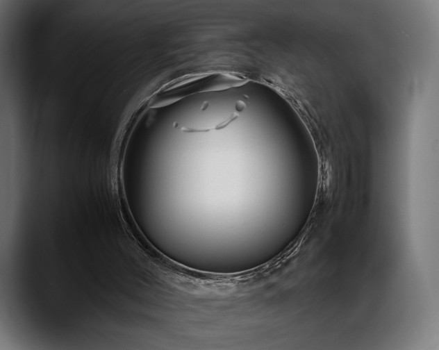 X0000088620004200705251251
