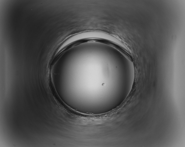 X0000088620005200705251251